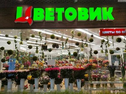Цветы спб цветовик