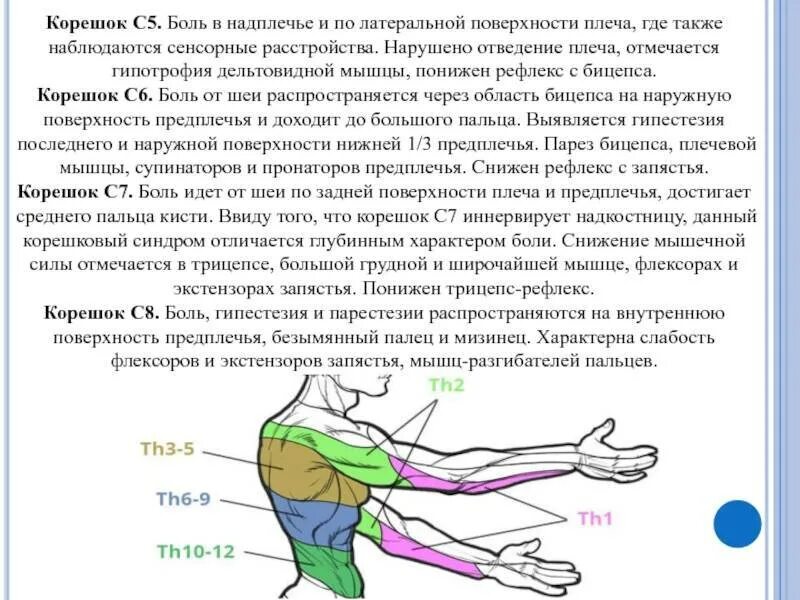 Можно греть мышцы. Боль в плече спереди.