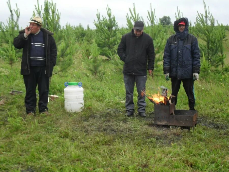 Подслушано Базарный Сызган. Похороны в Базарном Сызгане. Сызганов управа. В Базарносызганском районе встретили медведя. Подслушано базарный сызган ульяновская