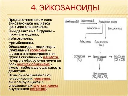 Медиаторы простагландины