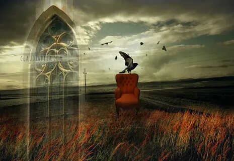 Wind and see