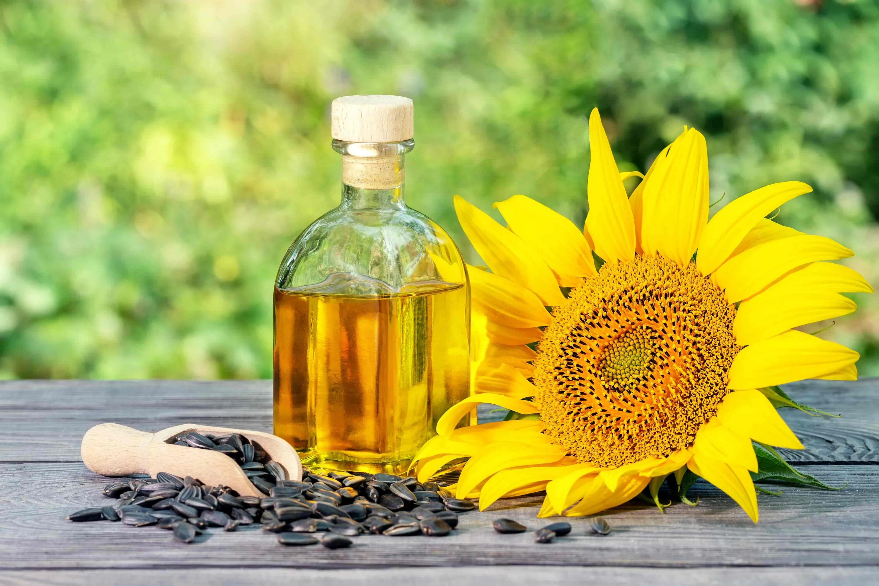 Теплое растительное масло. Helianthus annuus (Sunflower) Seed Oil. Sunflower Seed Oil 1le. Подсолнухи маслом. Подсолнечное масло и подсолнух.