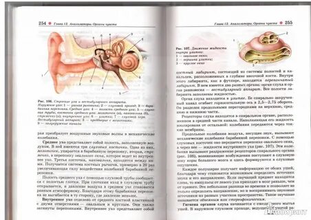 Биология 8 класс темы изучить
