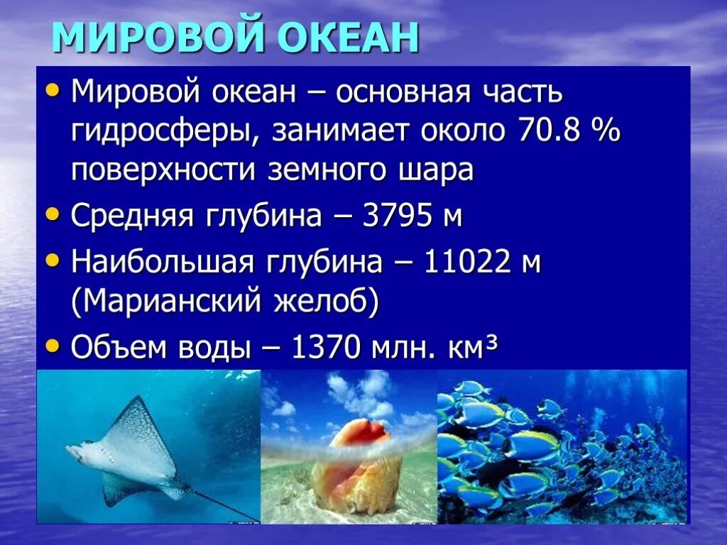 Мировой океан Главная часть гидросферы. Мировой океан это в географии. Мировой океан презентация. Презентация мирового Оке. Морская вода характеристика