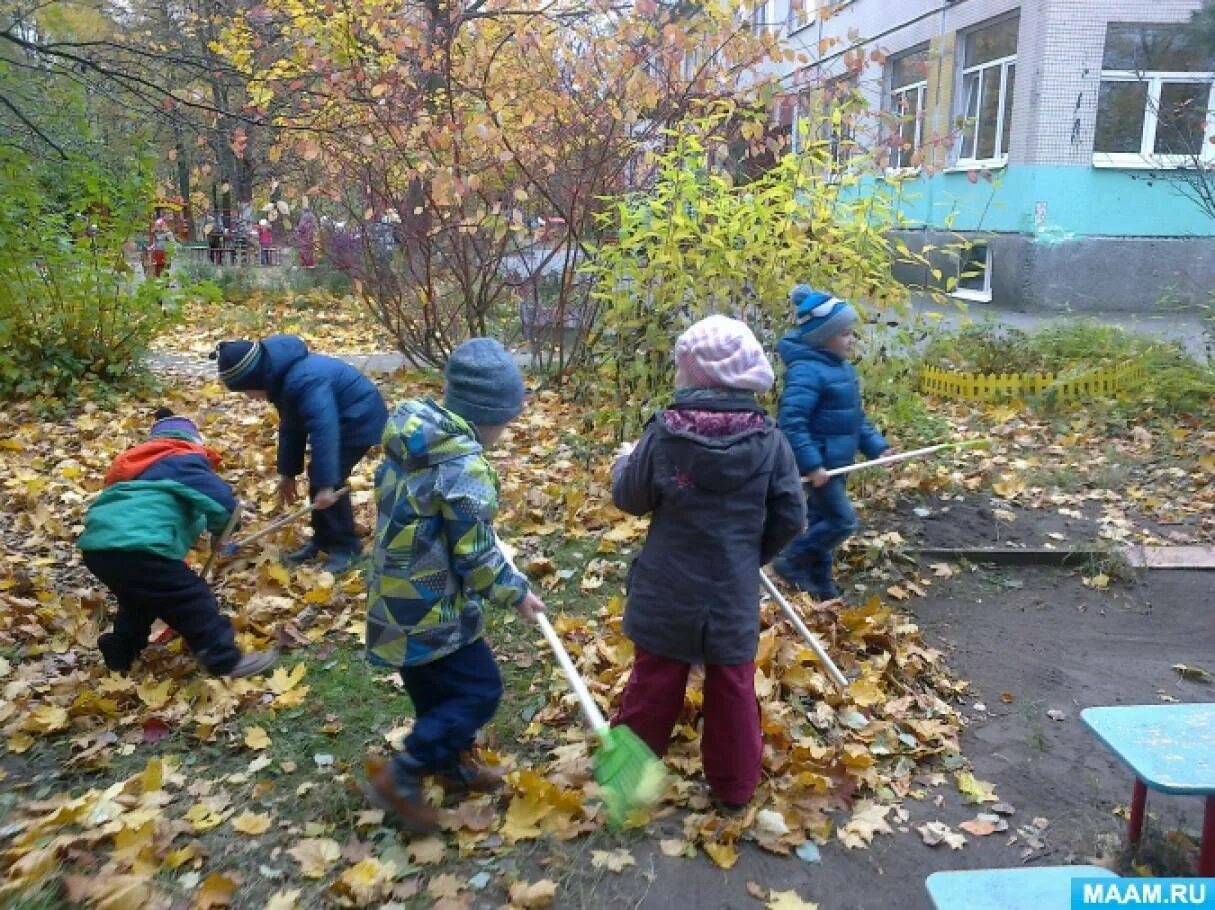 Уборка территории детского сада. Ce,,JNYBE D cflbrt. Уборка листьев в ДОУ. Уборка участка в детском саду.