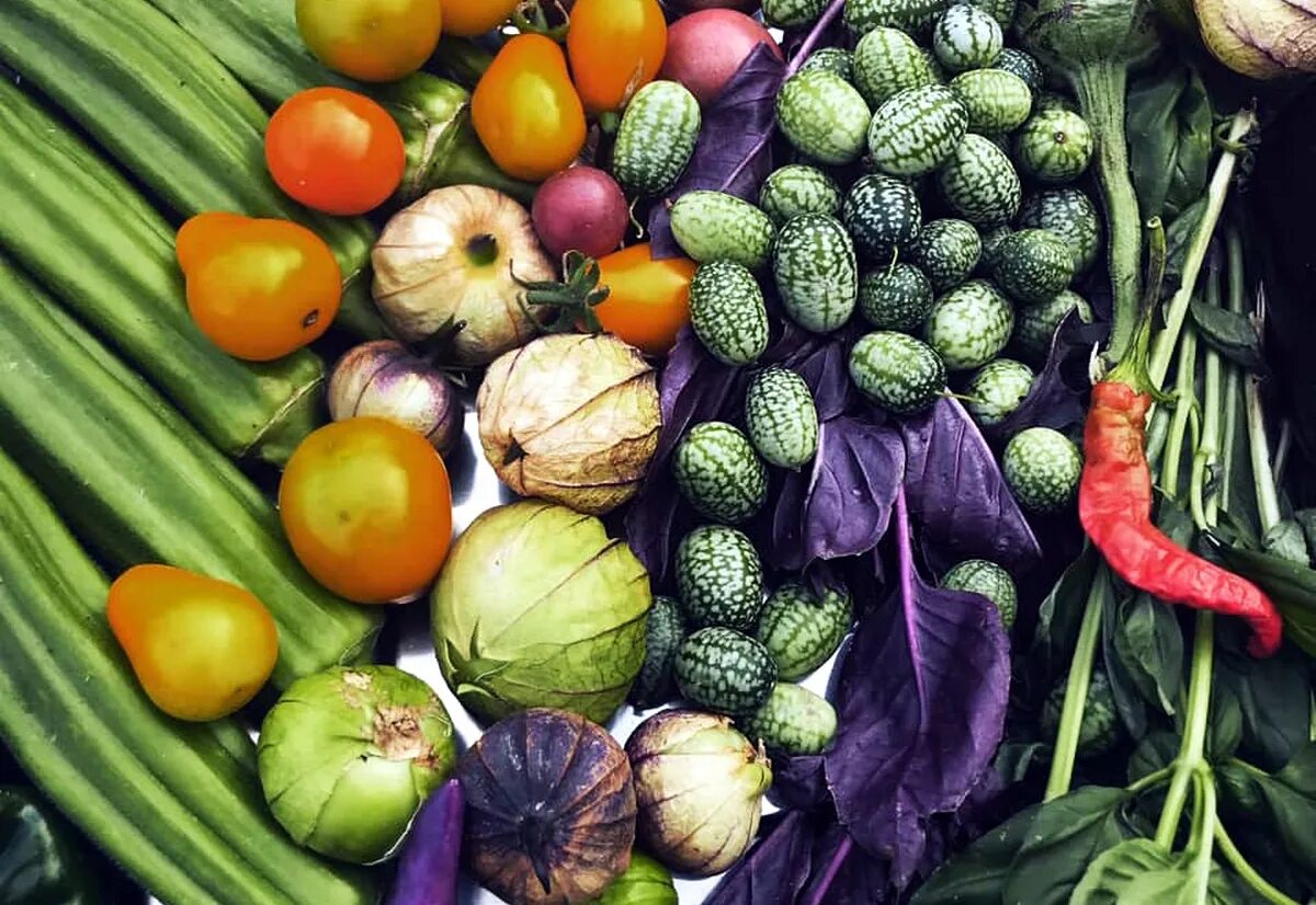 Китайские фрукты. Кивано африканский огурец 4шт. Пухала гавайский фрукт. Экзотика фрукты. Разноцветные фрукты.