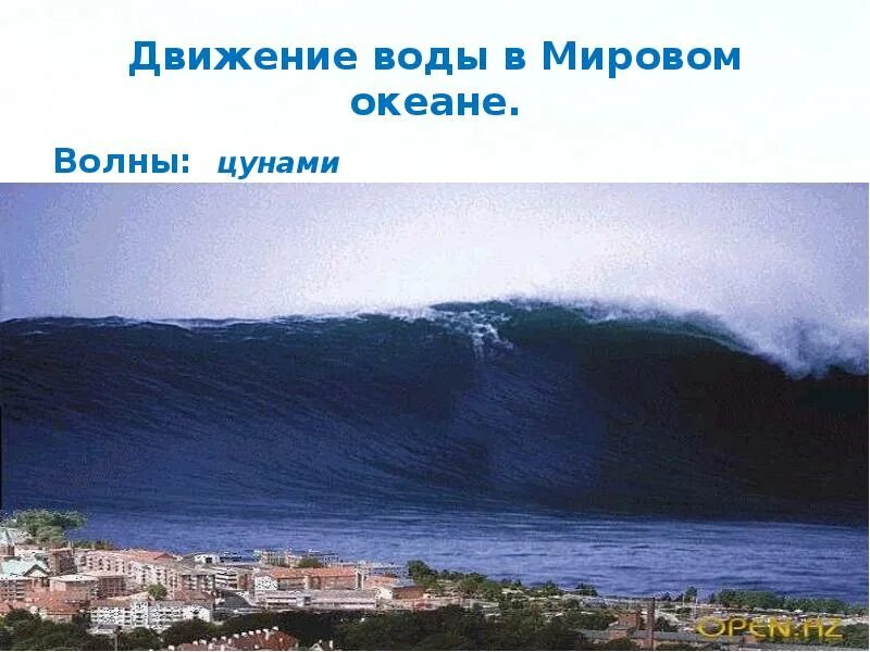 Волны в океане возникают под воздействием чего