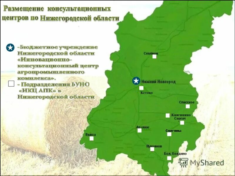 Статус нижегородской области. Карта промышленности Нижегородской области. Леса Нижегородской области карта. Карта лесов Нижегородской области. Карта хозяйства Нижегородской области.