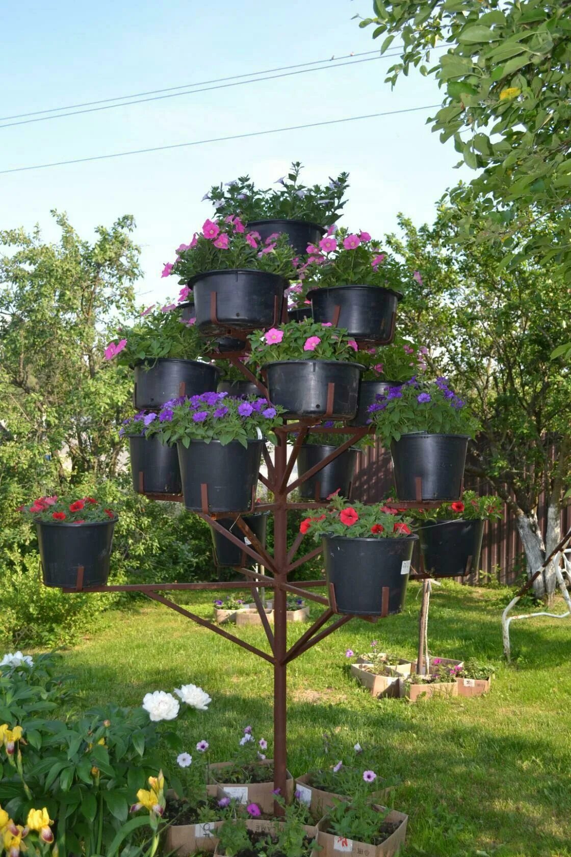 Конструкции для вертикального озеленения. Подставка для петуний. Магнолия штамбовая. Дерево из петуний. Каркас деревьев для цветов.