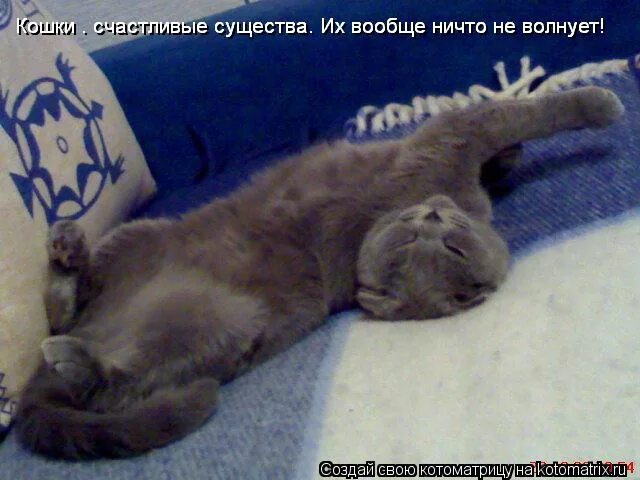 Смешное про деньги и успокоение. Вас что то беспокоит. Ничто не волновало. Меня беспокоит. Ничто не волновало.