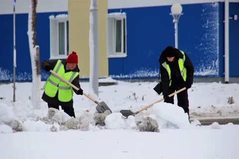 Муп благоустройство