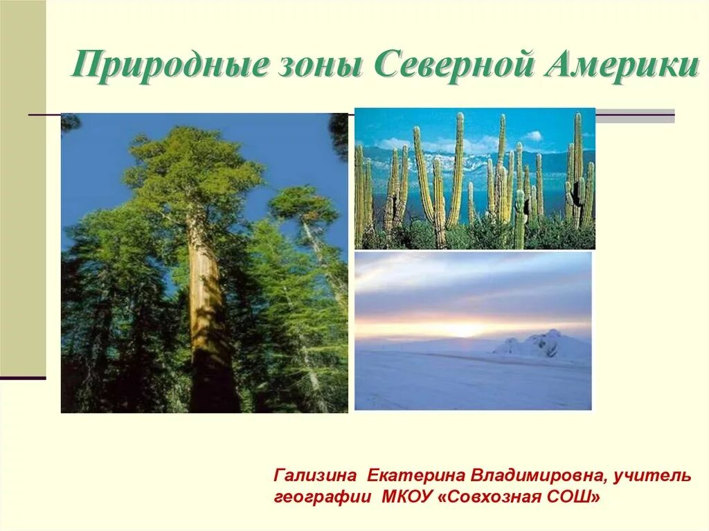 Презентация природные зоны северной америки 7. Природные зоны Северной Америки. Природные зоны Северной Америки презентация. Природные зоны Северной Америки растения. Природные зоны Северной Америки изменение природы человеком 7 класс.