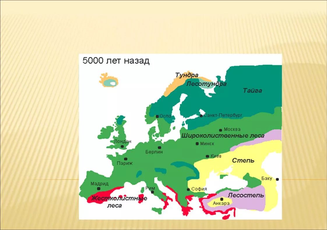 Сколько веков европы. Растительный Покров Европы. Карта лесов Европы. Леса в Европе в средние века. Крупнейшие леса Европы.