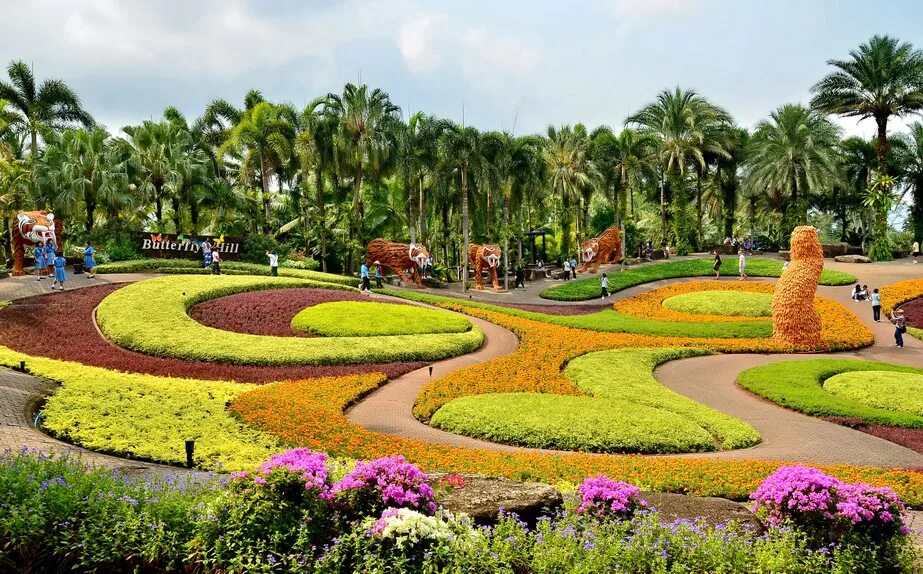 Ботанический сад Нонг Нуч. Суан Нонг Нуч сад. Таиланд. Парк мадам Нонг Нуч Паттайя. Тропический сад Нонг Нуч (Таиланд) парк бабочек.