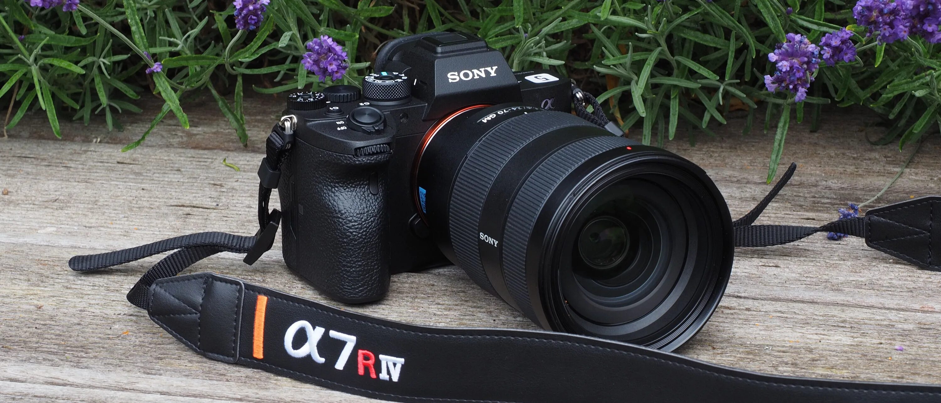 Альфа 7 купить. Sony Alpha a7r IV. Sony Alpha a7 r4. Sony Alpha 7 IV. Sony Alpha a7r IV body.