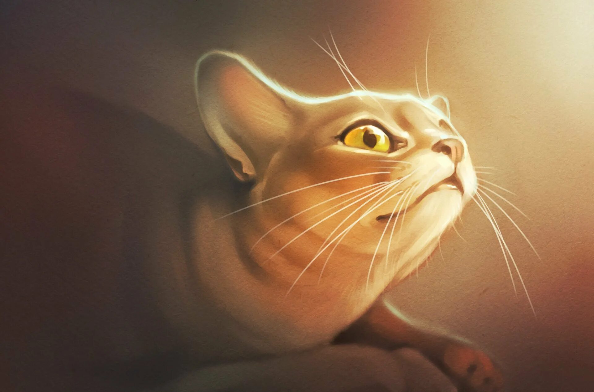 3 д котики