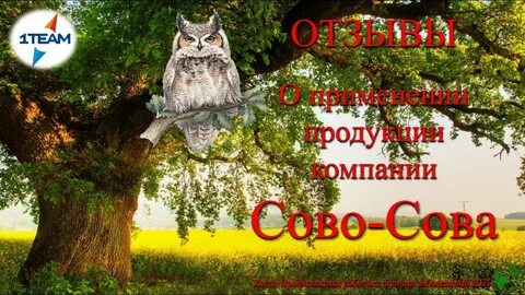 Оптимист сова сова инструкция