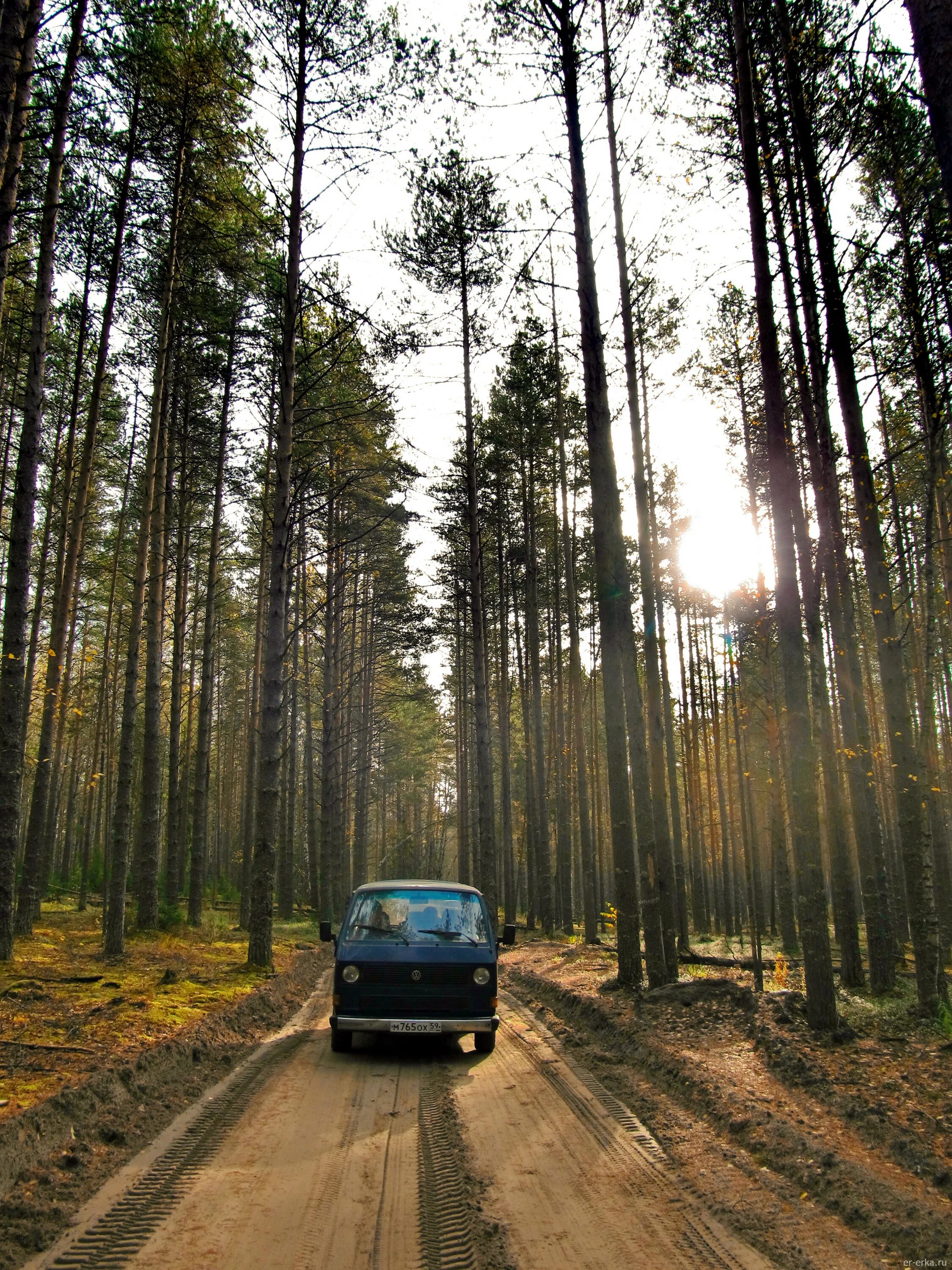 Авто ру путешествия. Путешествия на машине по Владимирской области. Жуланово Соликамск. Фото машина путешествия дороге кругом лес.