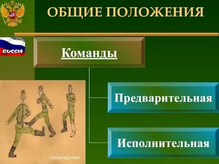 Виды команд в строю