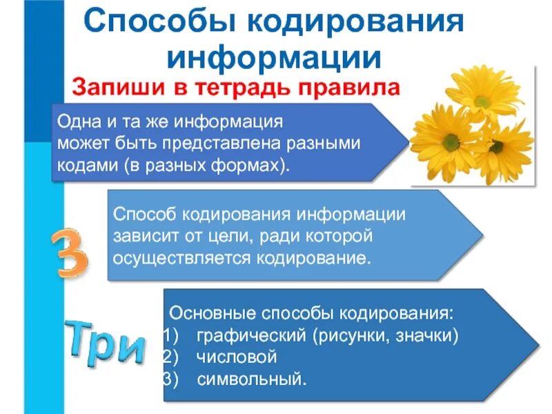 Методы кодирования способы кодирования. Методы кодирования способы кодирования