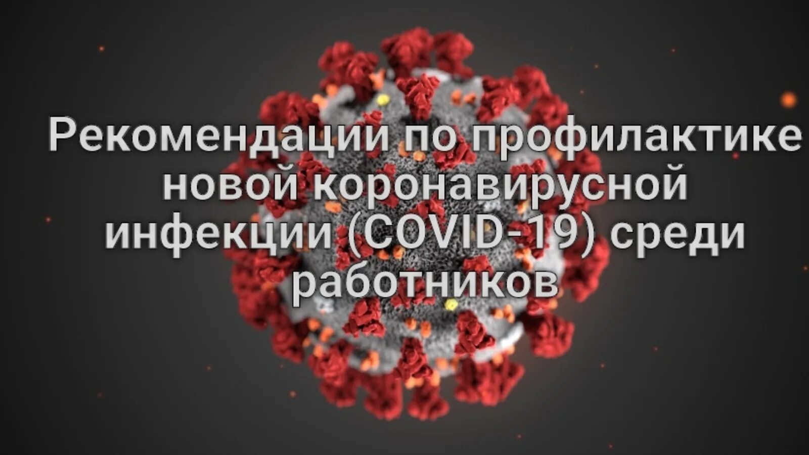 3597 20 профилактика новой коронавирусной инфекции. Рекомендации по профилактике новой коронавирусной инфекции. Рекомендации работодателям по профилактике коронавируса. Коронавирусной инфекции Covid-19. Профилактика новой короновирусной инфекции ( Covid-19).