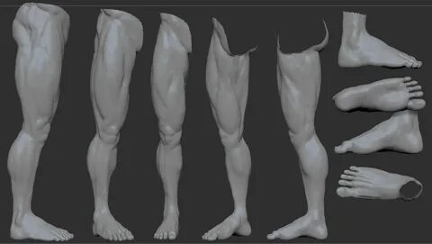 Leg reference