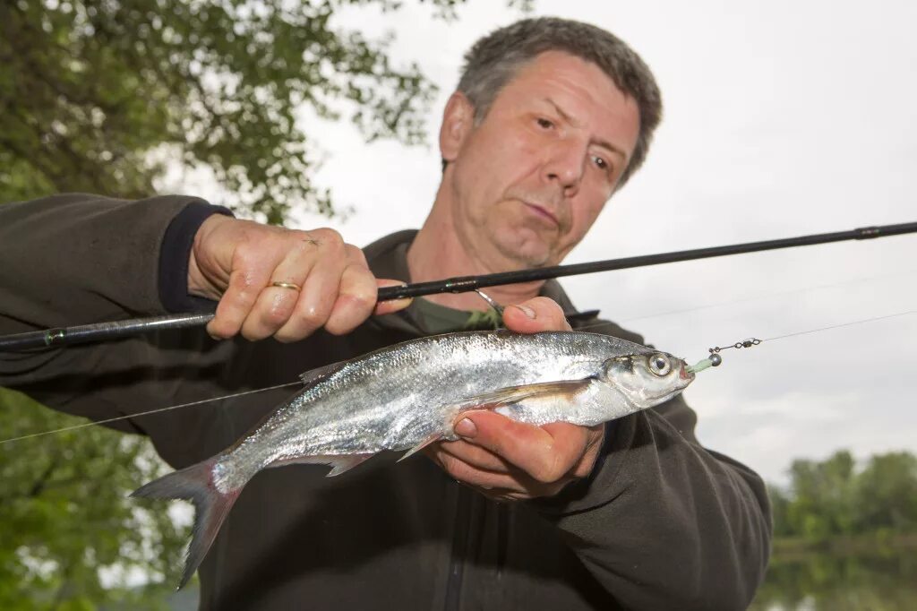 чехонь на спиннинг. рыбалка на поплавочную удочку уклейка. настоящая рыбалка. ловля началась. женщина на зимней рыбалке рыбалке на буране.