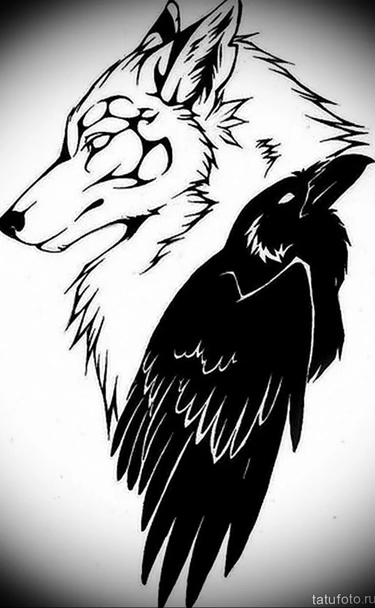 тату волк с вороном. тату волк с вороном. волк с вороном. тату волка с вороном на плече. тату волк и черный ворон.