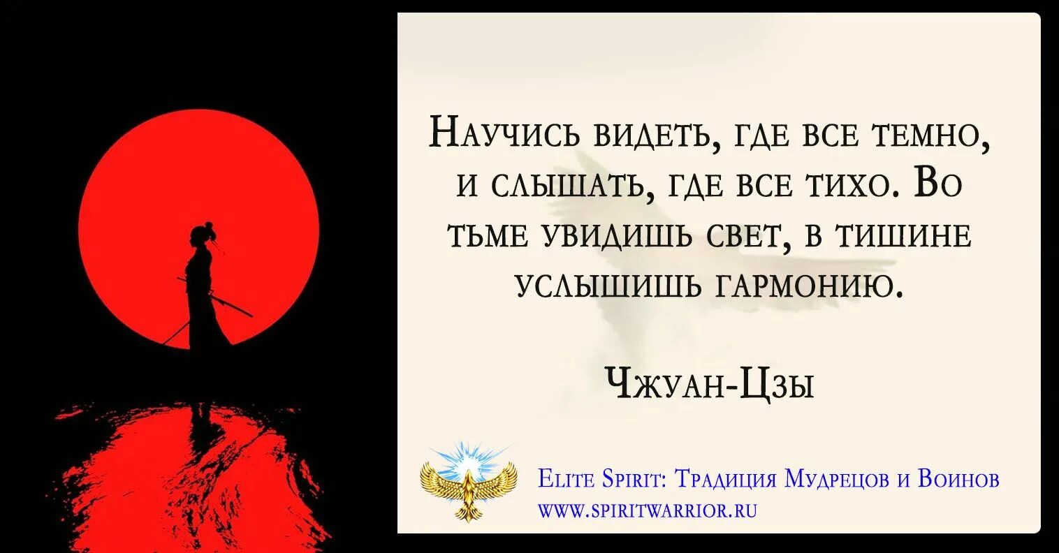 Назло рассказ на дзен глава. Дзен цитаты. Буддизм цитаты. Цитаты дзен буддизма. Чжуан Цзы высказывания.