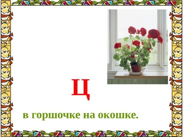 Загадочные буквы Данько. Литературное чтение загадочные буквы. Ц В горшочке на окошке. Стих загадочные буквы. Стихотворение данько загадочные буквы