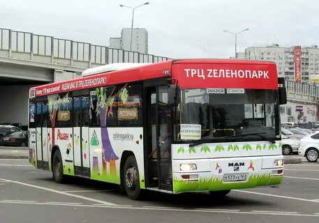 Автобус крюково зеленопарк