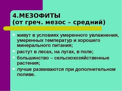 Примеры мезофитов