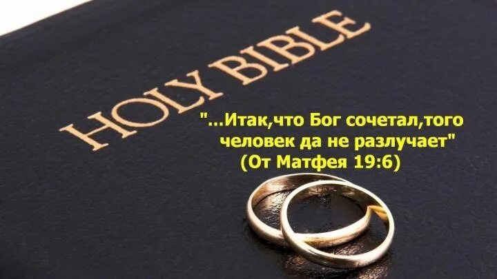Что бог сочетал того человек не разлучает. Что бог сочетал того человек не разлучает
