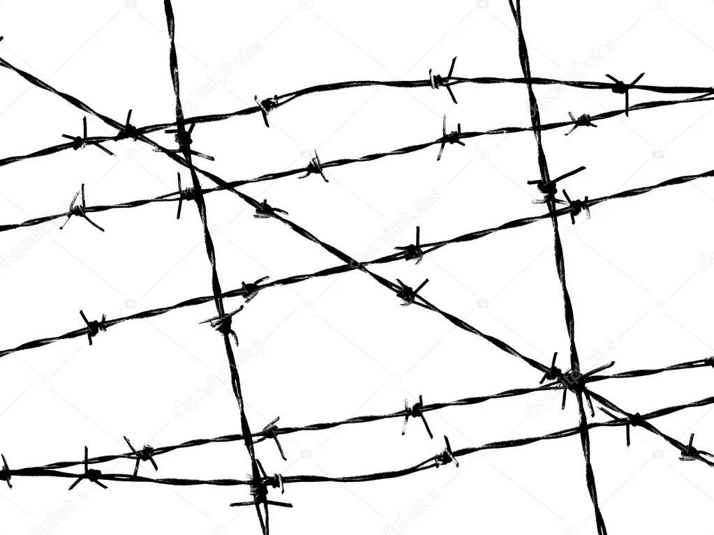 шуфутинский проволока колючая в три ряда