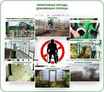 Раствор для обработки теплицы осенью