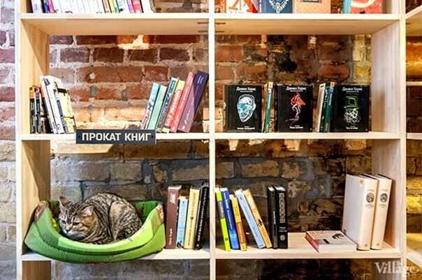 Аренда книг. Книги напрокат.