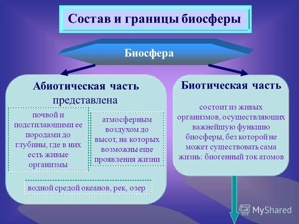 Человек является частью биосферы докажите правильность этого