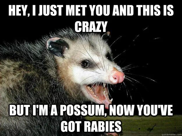 Hey i just met you текст. Hey i just met you and this is crazy. гарри поттер мем тролль. альбус дамблдор и лимонные дольки. марти макфлай мем.