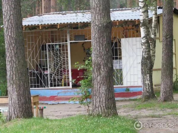 Отзыв о Парк культуры и отдыха "Харинка" (Россия, Иваново) А воздух тут чистый-ч
