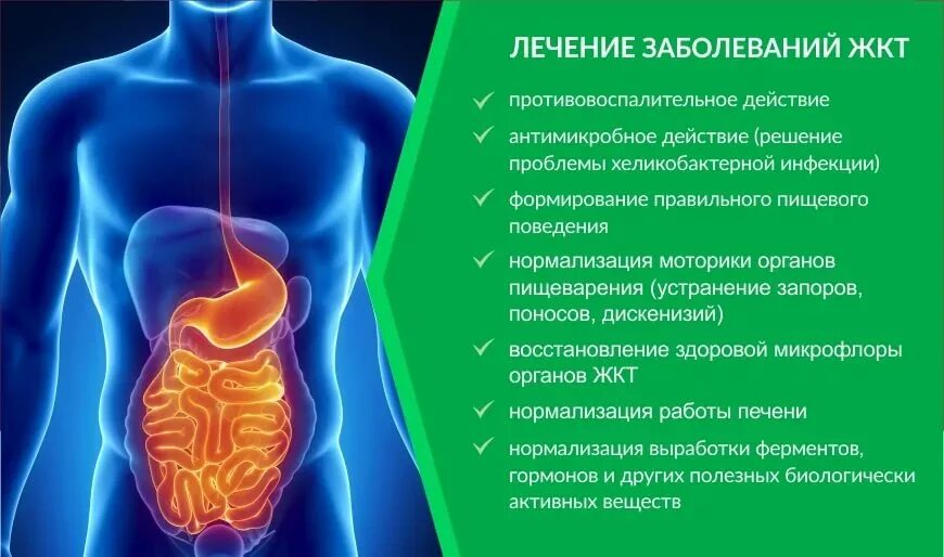 Расстройство желудка и кишечника симптомы и лечение. Симптомы поражения пищеварительного тракта. болезни системы пищеварения. заболевания органов жкт. хронические заболевания жкт.