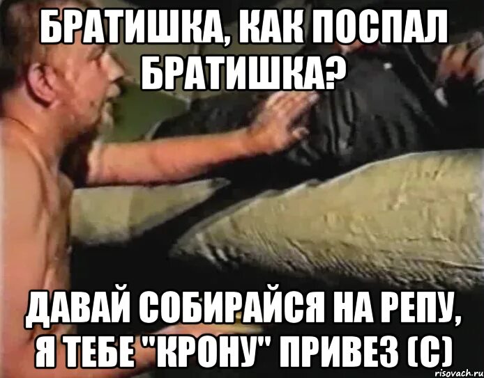 Братишка это тебе не катамаран. Братишка как поспал братишка. зеленый слоник мемы. как поспал братишка мем.