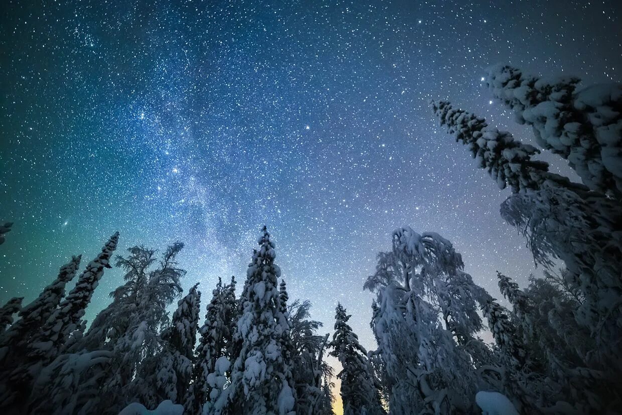 Зимний лес ночью. Зима звезды. Зимнее звездное небо. Зима ночь. Морозный звездный.