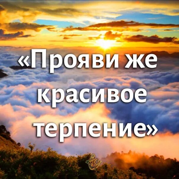 Прояви же красивое терпение коран. Прояви красивое терпение. Афоризмы про терпение. Прояви же красивое терпение. Красивые фразы.