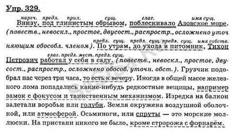 Русский язык 8 класс 313