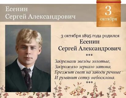 Др есенина