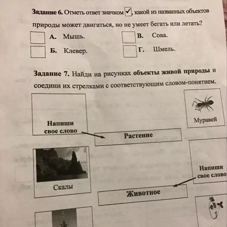 Соедини стрелками изображения способов добычи. Соедини стрелками объекты природы с соответствующим словом. Соедини стрелками объекты. Соедини стрелками Живая природа. Соедеги стрелкамиобьекты природы с соответствующим словом понятием.