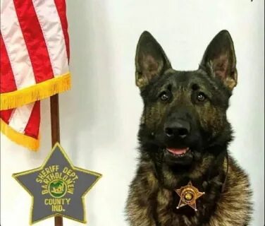 K-9 Wall of Heroes - Back The Blue And Green