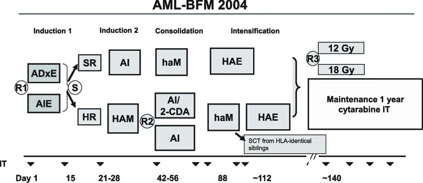 AML-BFM-2004. Протокол химиотерапии AML-BFM 2004. Протокол BFM. All-BFM 2000 протокол м. Aml проверка cryptozen