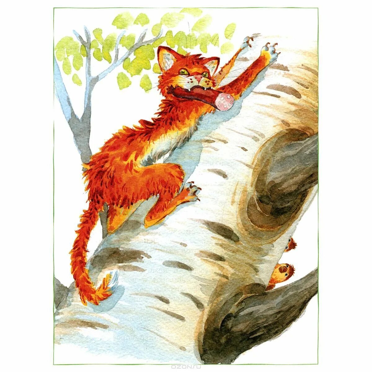 Главные герои сказки кот ворюга. Кот-ворюга паустовский сколько страниц. "кот-ворюга". Паустовский к. Кот ворюга рассказ константина паустовского.