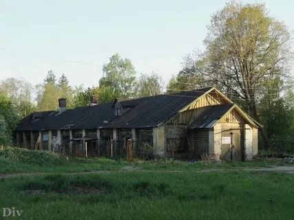 Погода тарасово тосненский ленинградской